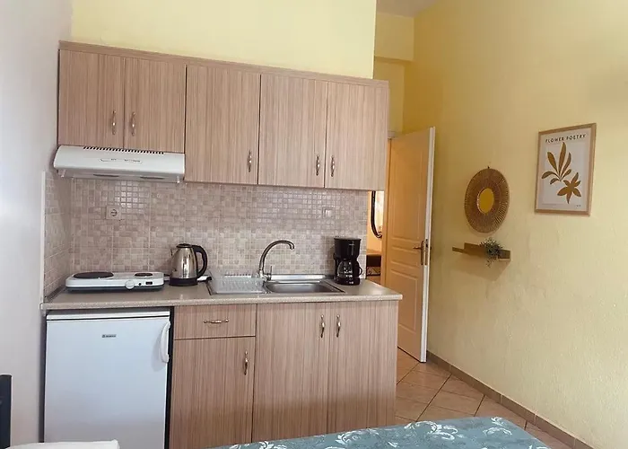 Themis Pensiune Vrasná